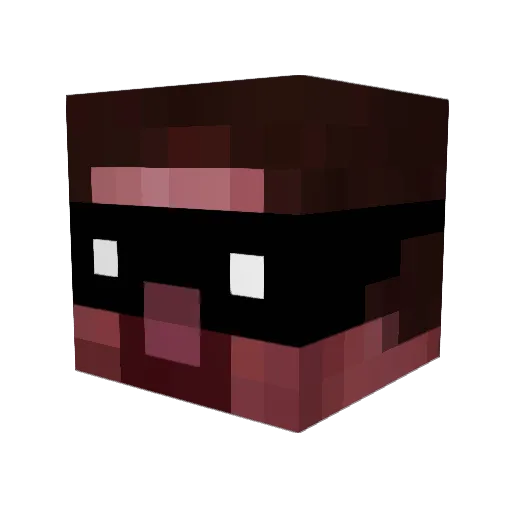 LuckyShark_No1 Minecraft avatar head, 3D render