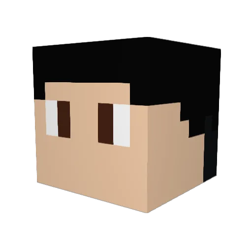 LuckyWanderer Minecraft avatar head, 3D render