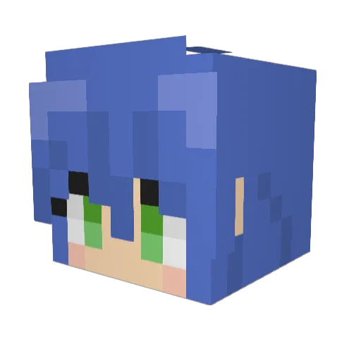 LuckyWiz Minecraft avatar head, 3D render