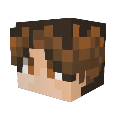 Lucky_00 Minecraft avatar head, 3D render