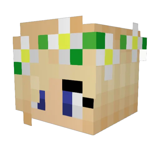 Lucky_2104 Minecraft avatar head, 3D render
