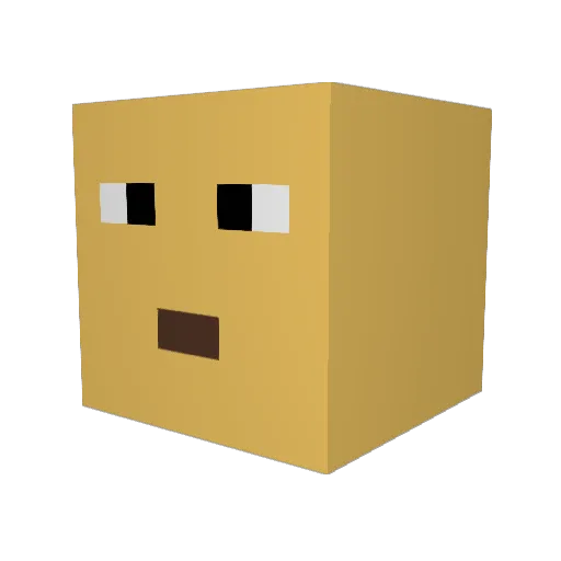 Lucky_Loser14 Minecraft avatar head, 3D render