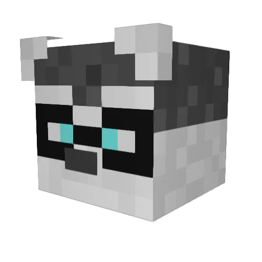 Lucky_Racoon Minecraft avatar head, 3D render