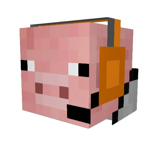 Lucky_Tuck_21 Minecraft avatar head, 3D render