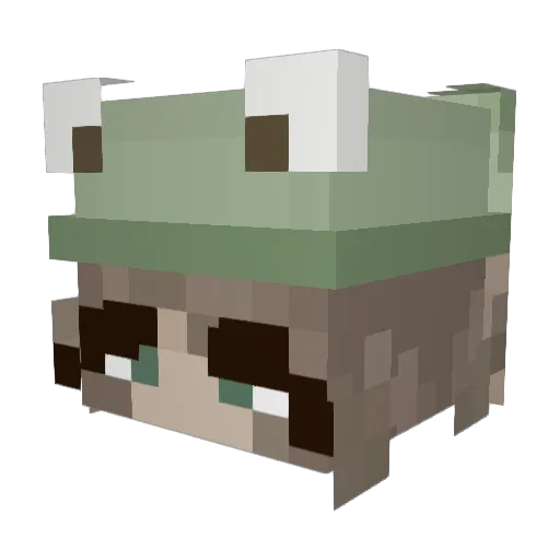 Luckya00 Minecraft avatar head, 3D render