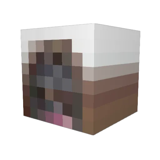 Luckyelix Minecraft avatar head, 3D render