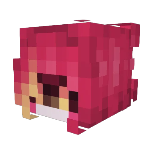 Luckyfin05 Minecraft avatar head, 3D render