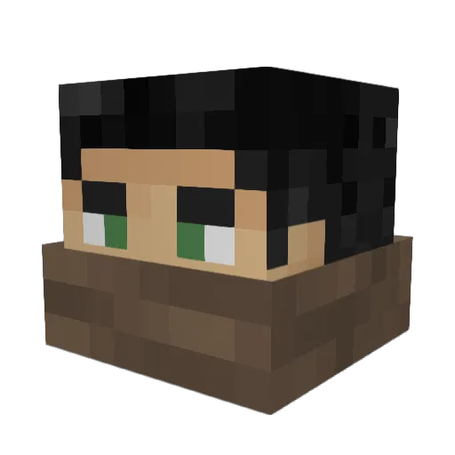 Luckyfish101 Minecraft avatar head, 3D render