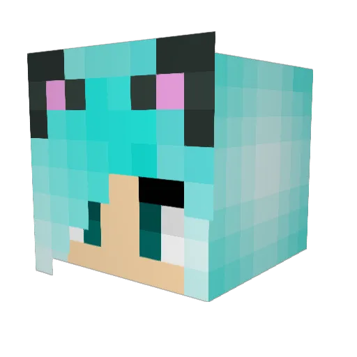 Luckylander Minecraft avatar head, 3D render