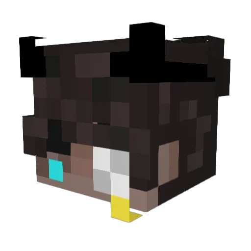 Luckyluke1237 Minecraft avatar head, 3D render