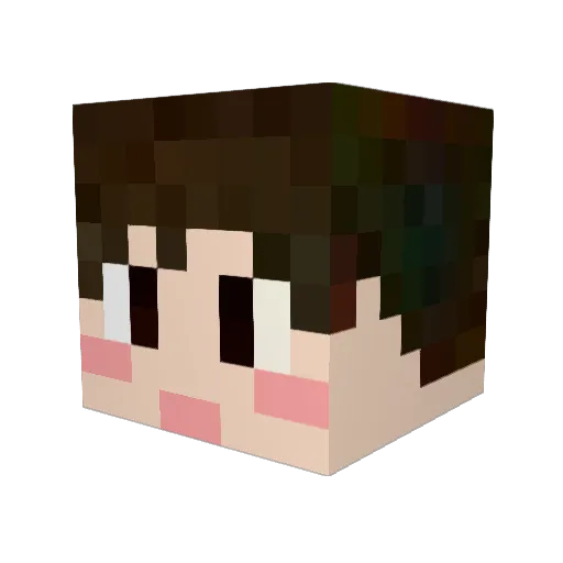 Luckyplay1218 Minecraft avatar head, 3D render
