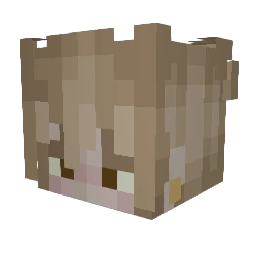 Luckypuppy87 Minecraft avatar head, 3D render