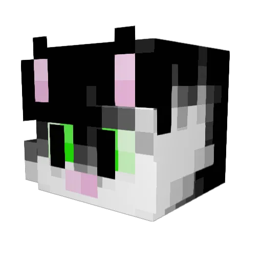 Luckysaurus8 Minecraft avatar head, 3D render