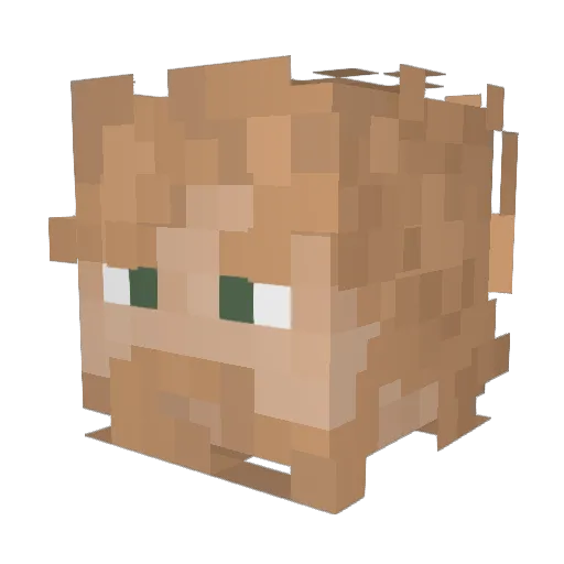 Luckyy02 Minecraft avatar head, 3D render