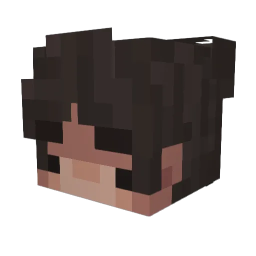 Lucmem Minecraft avatar head, 3D render