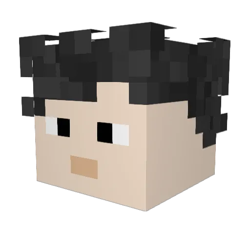 Luco14 Minecraft avatar head, 3D render