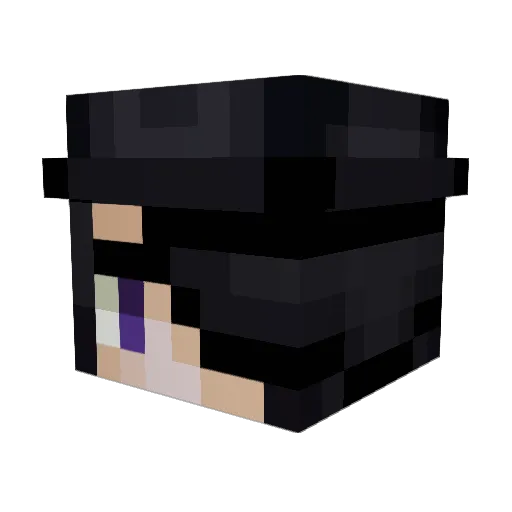 Luco1617 Minecraft avatar head, 3D render