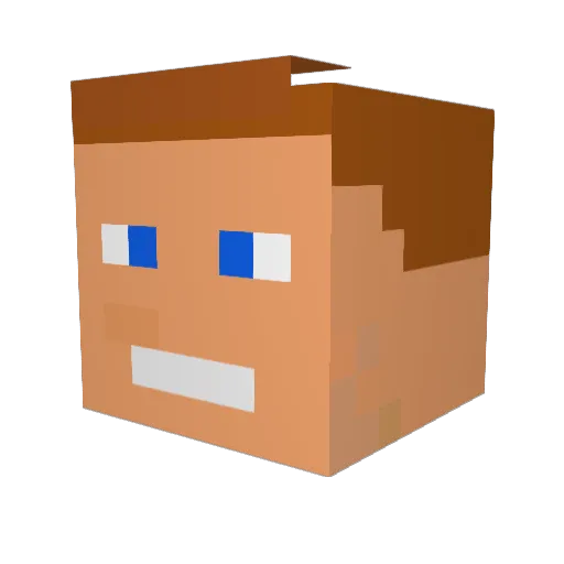 Lucon_19 Minecraft avatar head, 3D render