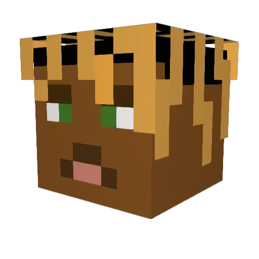 Lucoz999 Minecraft avatar head, 3D render