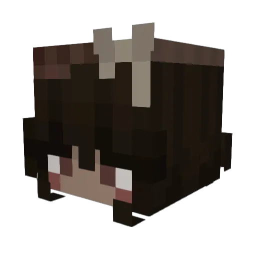 LucozadeCherry Minecraft avatar head, 3D render