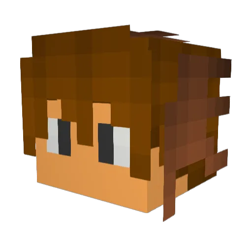 Lucraft621 Minecraft avatar head, 3D render