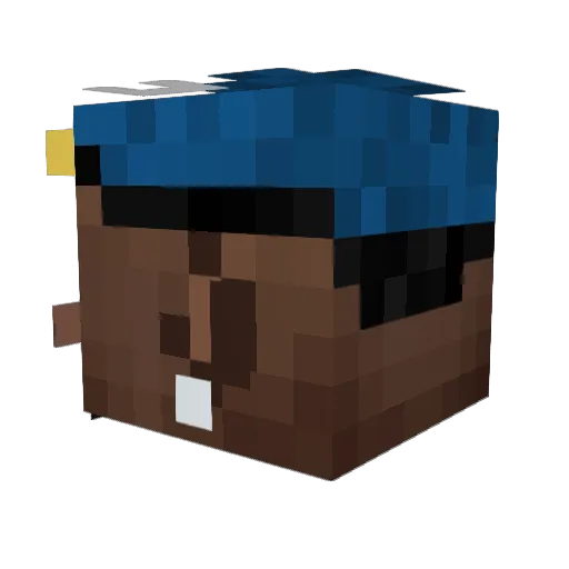 Lucsz10 Minecraft avatar head, 3D render