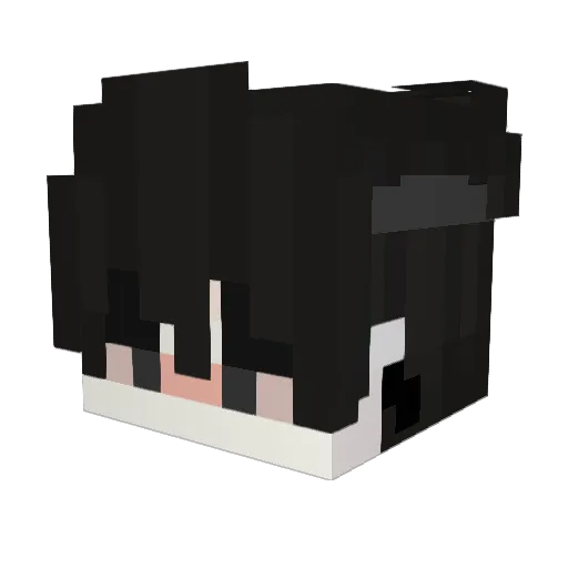 Lucu1_ Minecraft avatar head, 3D render