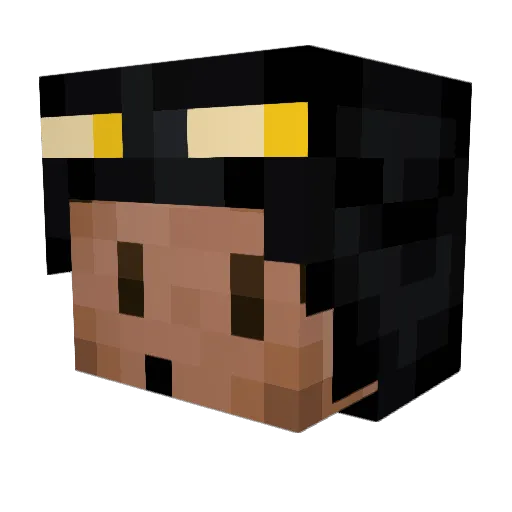 Lucuma Minecraft avatar head, 3D render