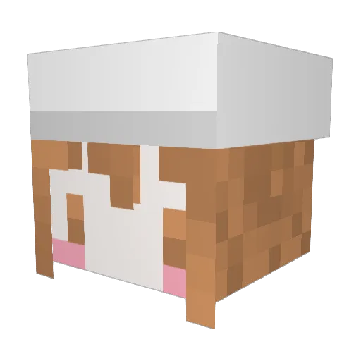 Lucy0117 Minecraft avatar head, 3D render