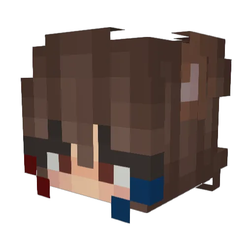 Lucy10014 Minecraft avatar head, 3D render