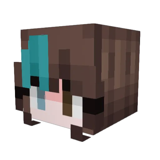Lucy1362 Minecraft avatar head, 3D render