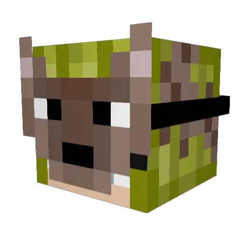 Lucy2297 Minecraft avatar head, 3D render