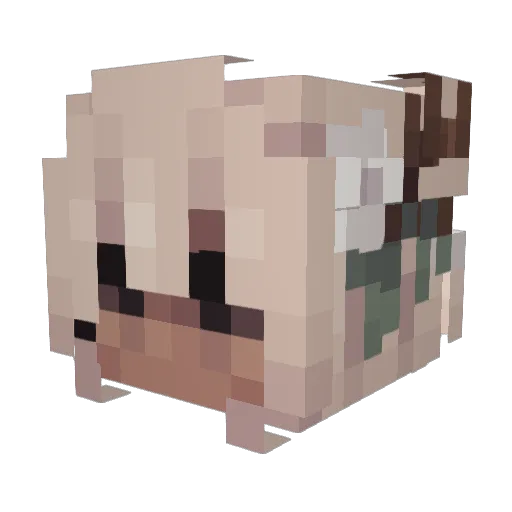 Lucy2532 Minecraft avatar head, 3D render