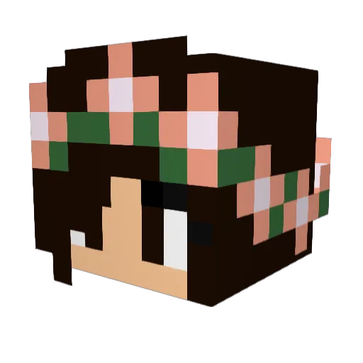 Lucy285 Minecraft avatar head, 3D render