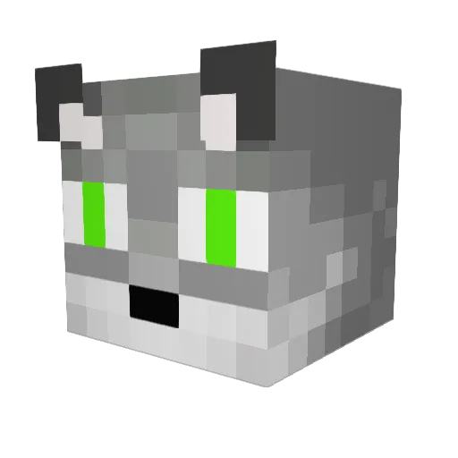 Lucy305 Minecraft avatar head, 3D render