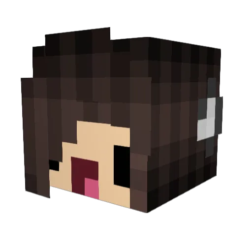 Lucy333 Minecraft avatar head, 3D render