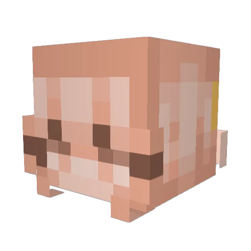 Lucy42069 Minecraft avatar head, 3D render