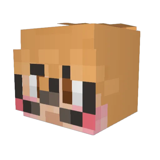 LucyAndHamish Minecraft avatar head, 3D render