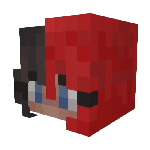 LucyB3ar2 Minecraft avatar head, 3D render
