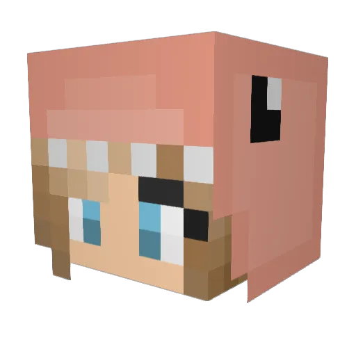 LucyBee123 Minecraft avatar head, 3D render