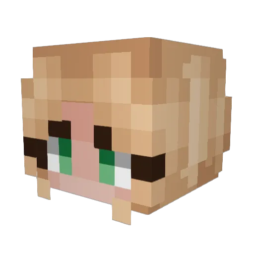 LucyFuurr Minecraft avatar head, 3D render
