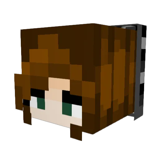 LucyGoosey19 Minecraft avatar head, 3D render