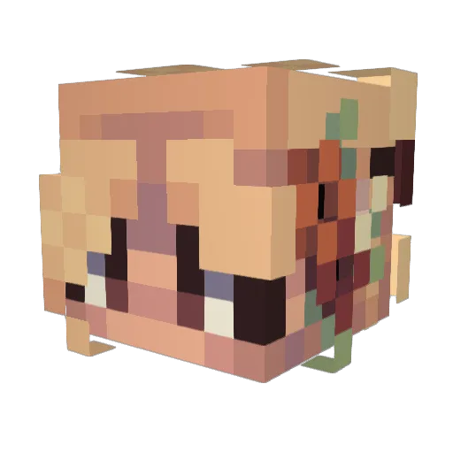 LucyJunee Minecraft avatar head, 3D render