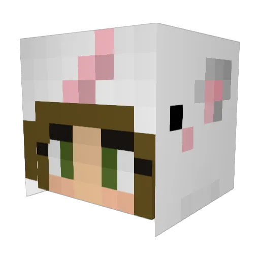 LucyLemon15 Minecraft avatar head, 3D render