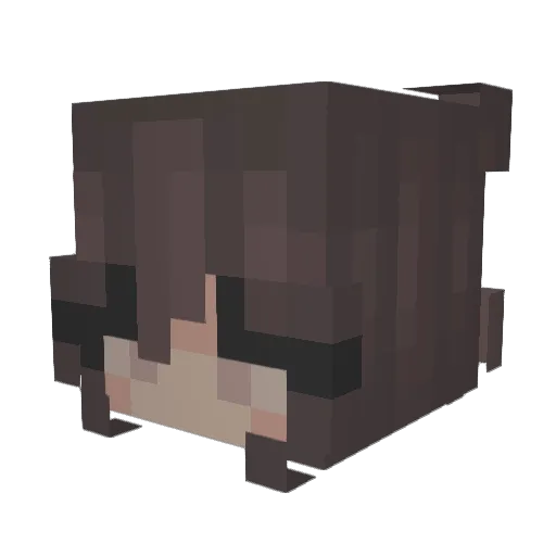 LucyLife Minecraft avatar head, 3D render