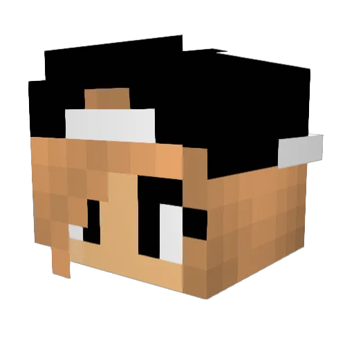 LucyLoooo Minecraft avatar head, 3D render