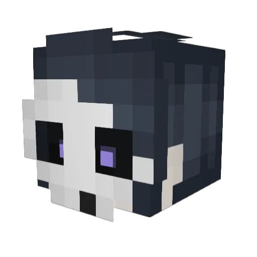 LucyShadow015 Minecraft avatar head, 3D render