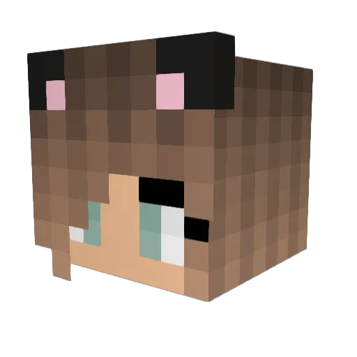 Lucydiser Minecraft avatar head, 3D render