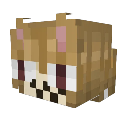 Lucygamer69 Minecraft avatar head, 3D render