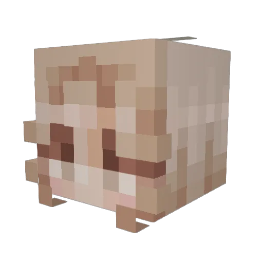 Lucyjoy Minecraft avatar head, 3D render